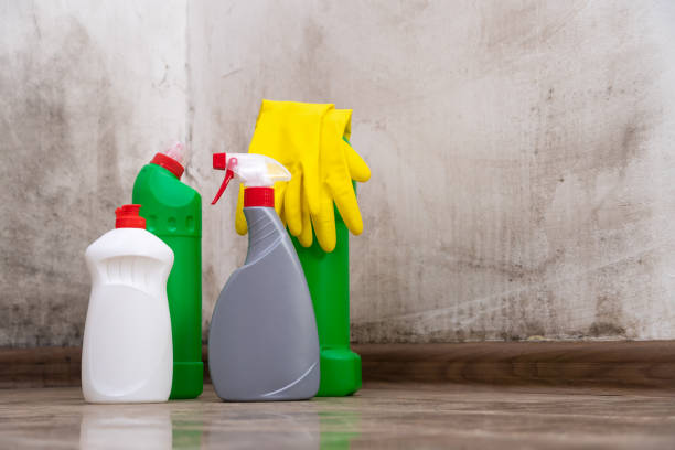 Professional Mold Remediation in Iona, ID